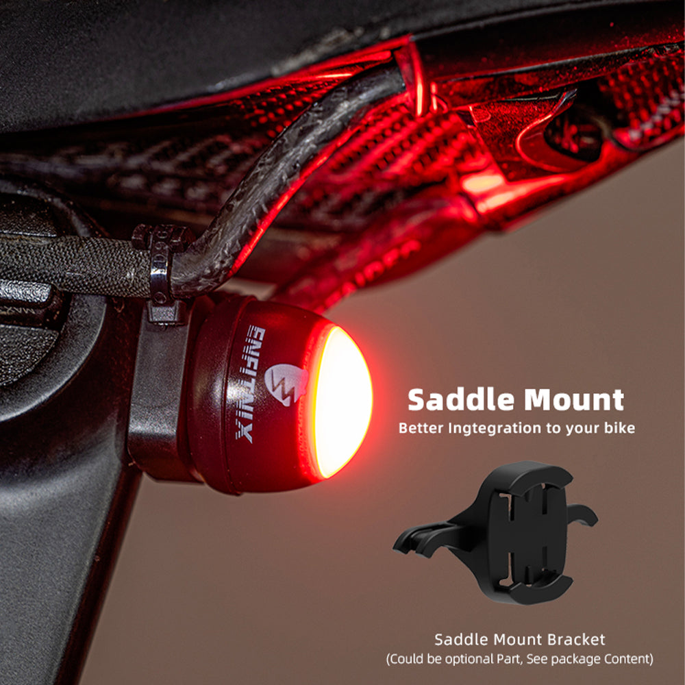 Bicycle tail light with saddle mount bracket on a bike frame